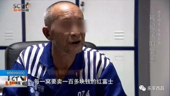 00后老大爷爆料视频大全,揭秘00后老大爷爆料的神奇视频大全  第2张